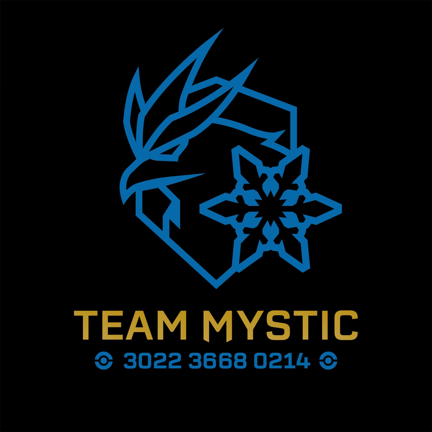 PoGo Team Mystic Personalized Trainer Code T-Shirt