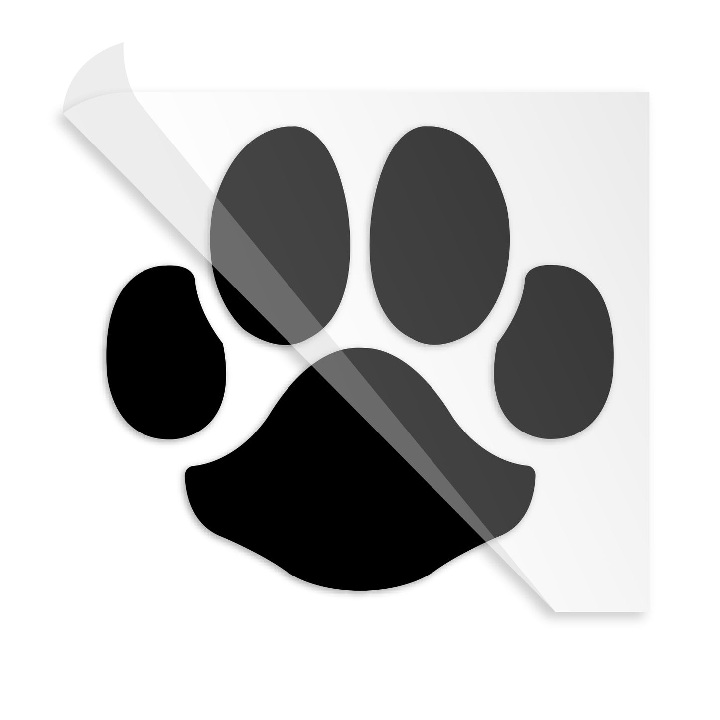 Dog Paw Print Heat Transfer